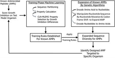 Machine learning-enabled design features of antimicrobial peptides selectively targeting peri-implant disease progression